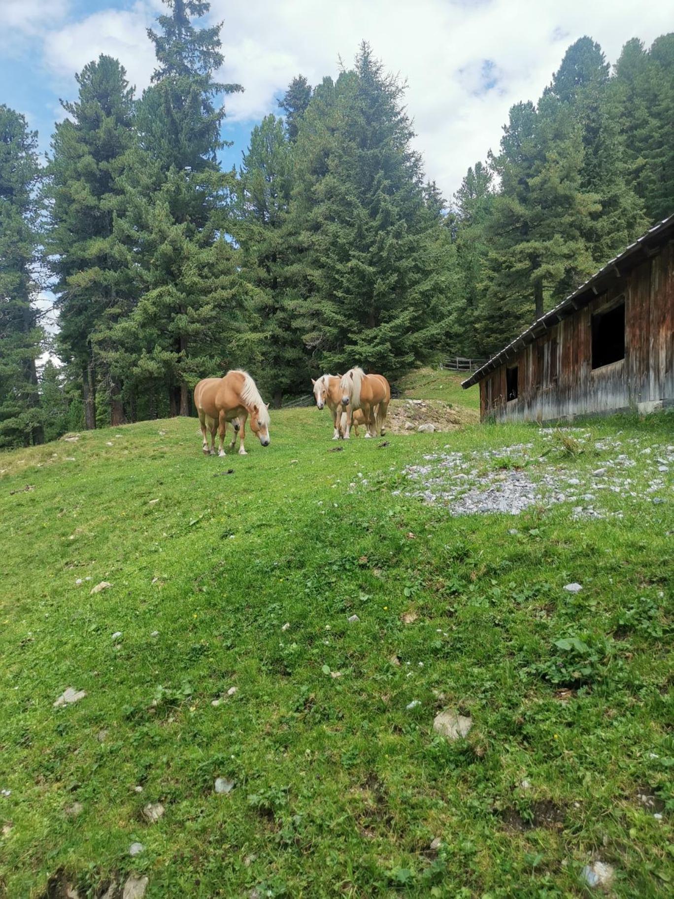 Aparthotel Pitztal Living Jerzens Exterior foto